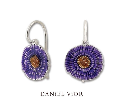 Daniel Vior - Basia solaris