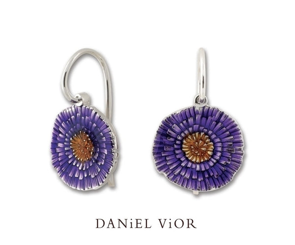 Daniel Vior - Basia solaris