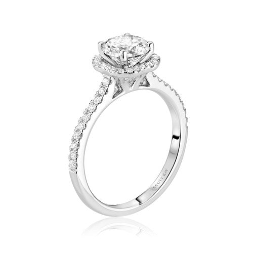 Scott Kay - Luminaire